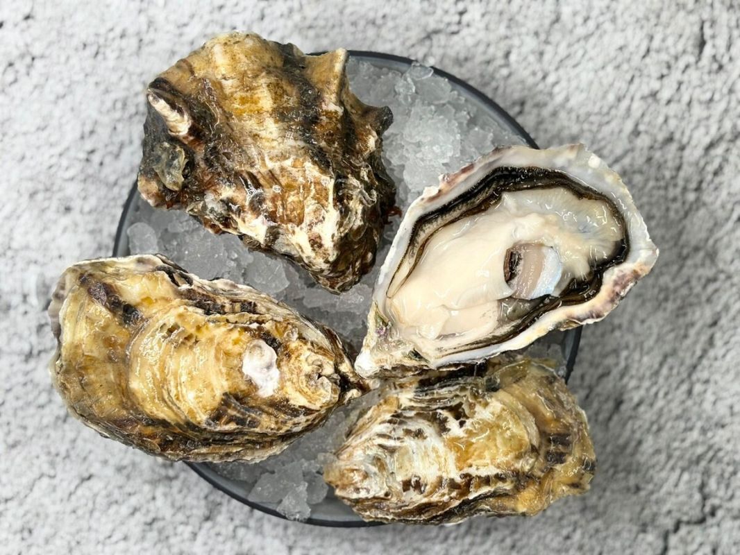 Устрица Моари: секреты необычного морского деликатеса