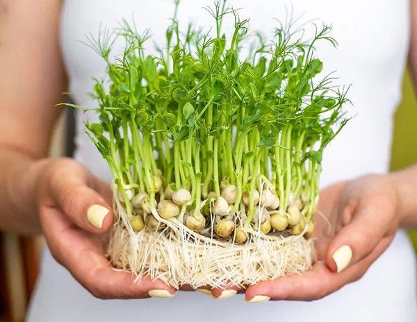 ��� ������������ ������ ���� ����� �������� ��� ������