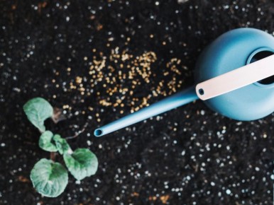 ��� ������� ��������� ����� �������� ������ ������ ������