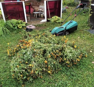 ���������� ����: ��� ������������ ����������� ��������� ��� ������