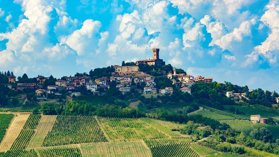 Новый аппелласьон Classese в Ольтрепо: пино нуар как символ качества