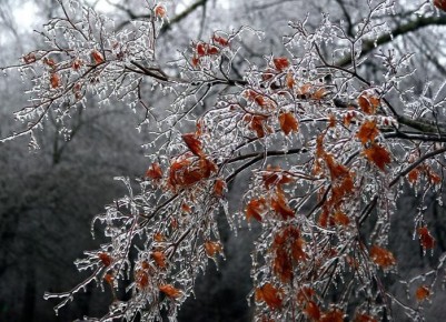 ��� ���������� � �������� ������: ������ �������� �� �������