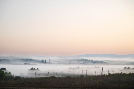 ����������� �� ���������� ���� ����: ����� ���������� ������ �� ����� ������ ����