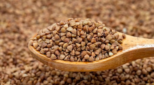 ������ ����������: ��� ����� ���� ������?