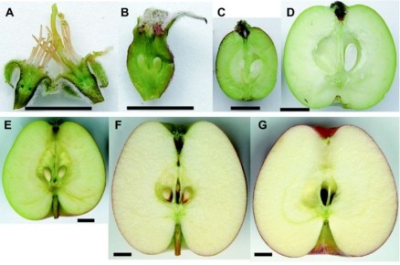 ��� ������������ � ���� ������: ������� ��������� ������