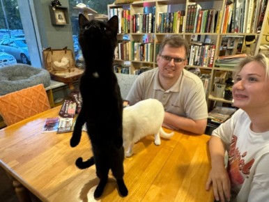 ����� ������ � ����� ������: ��� ���������� ������ ���� ������ � � �����