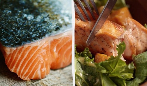 Искусство приготовления лосося