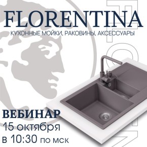 Новые горизонты сантехники: откройте для себя мойки Florentina