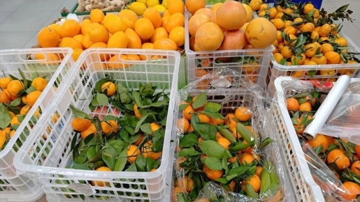 ��� ������� ��������� ���������: ������ ���������