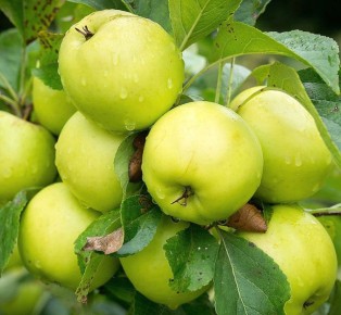 15 ������ ������ ������ ��� �������� �������