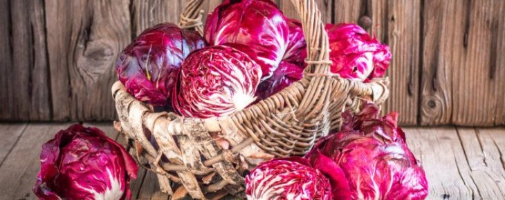 ����� ����� � ��������, ������� � ��������� ���������