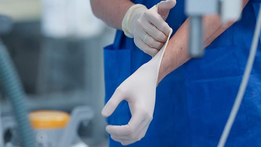 Первые шаги к новому будущему: трансплантация печени свиньи человеку