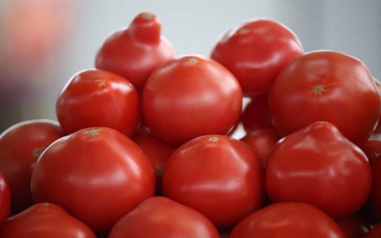 ������� ������� �������� ��������� �� ����: ��� ������������ ��������� ����