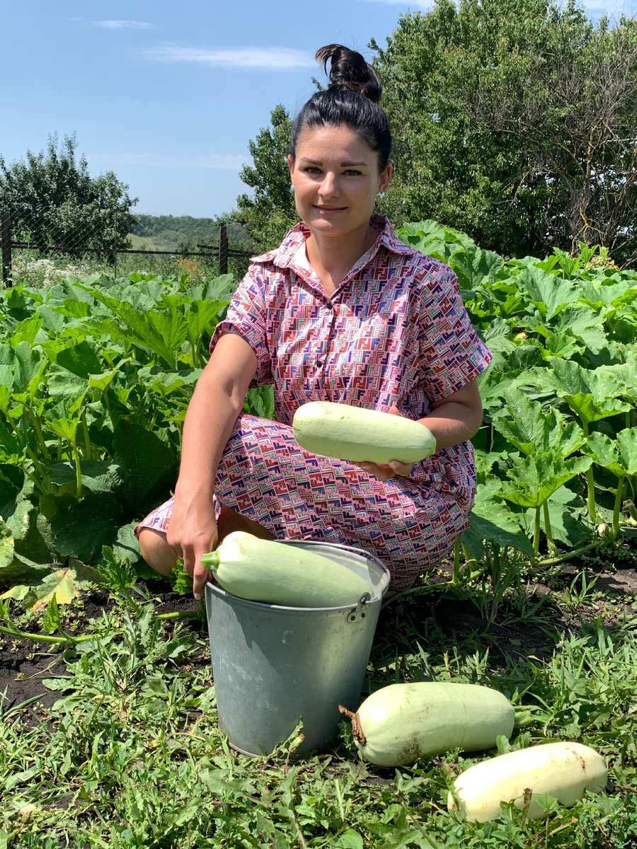 Кабачковые изыски: вкусные рецепты для летнего сезона