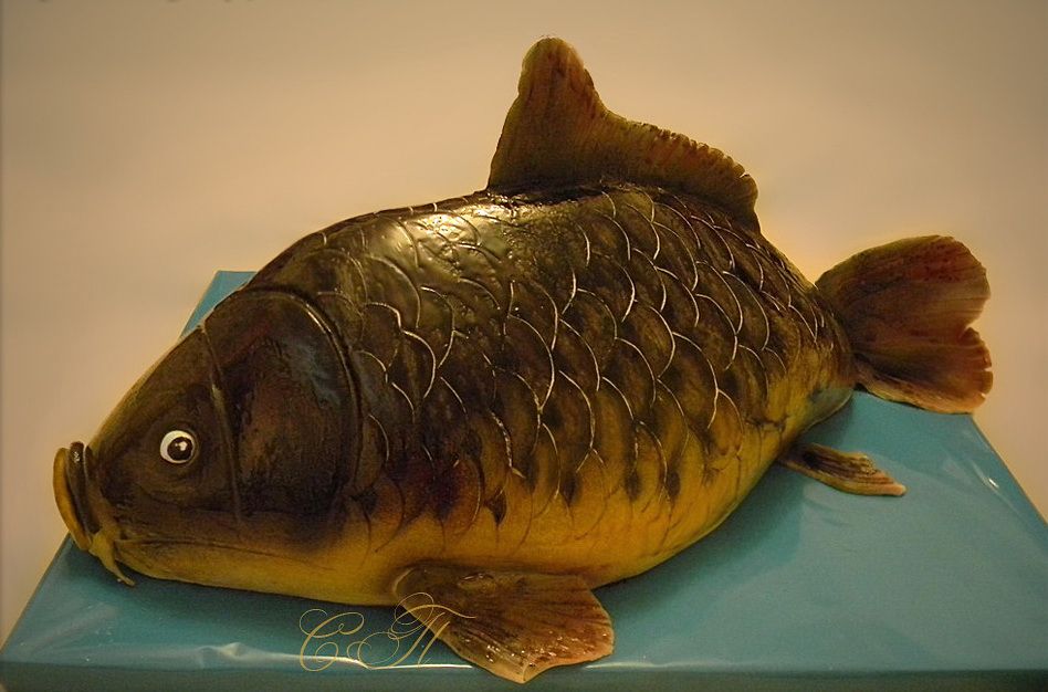 �����, ������� ��������: ����� �������� ���������� ����������