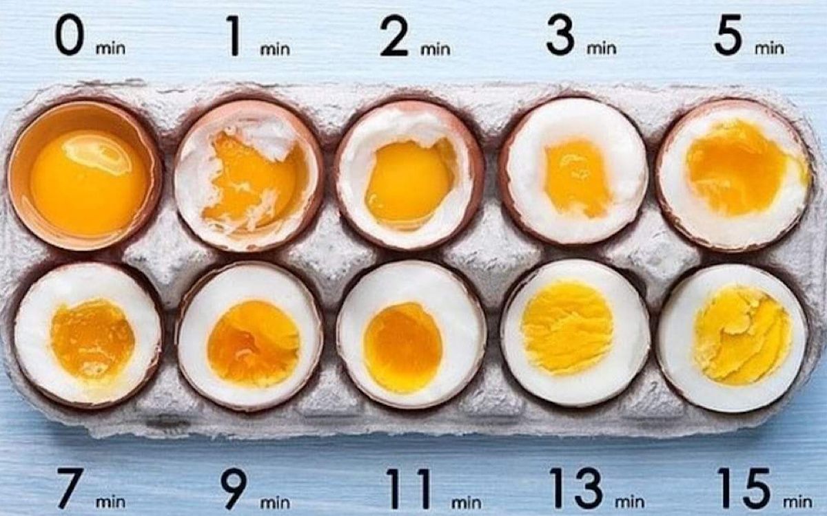 ��� ������� ���� ��������: ������� � �������� ��������