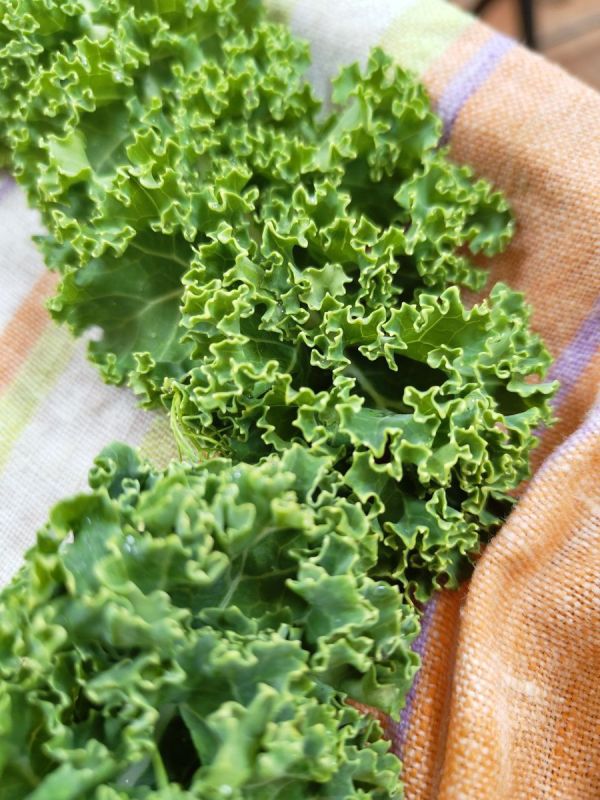 ���������� ������-������ � ����������