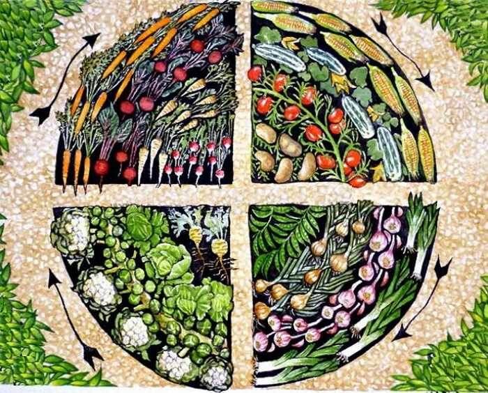 ��� ���������� ����� �������� ���� �������������� �������