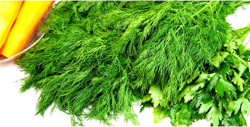 ������� ������ ������ �� ���� ��� ����: ��� ���������� ������ � ��� ������������