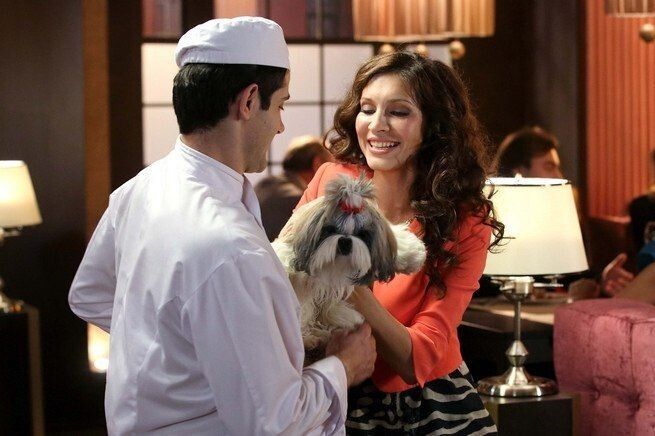 ���������� ����� ������� ������ � ������� �������