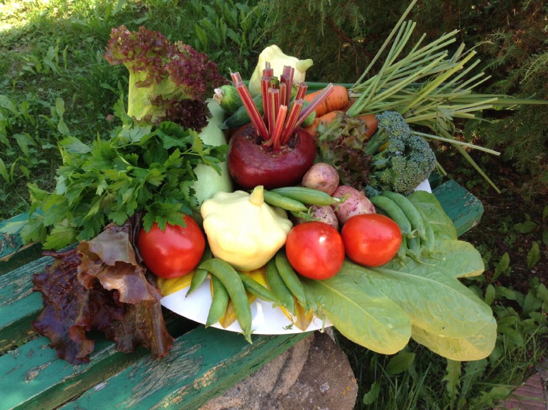 ������� ��������� �������: ��� ������ � ��������� ����?