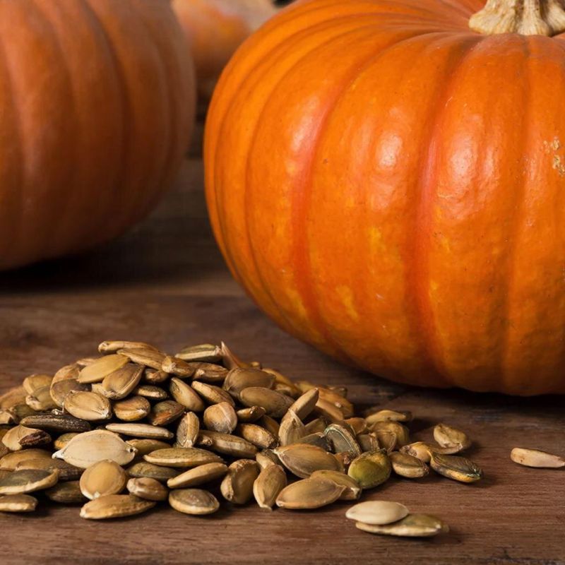 ��������� �������: �������� �������� � ������������ �� ������������