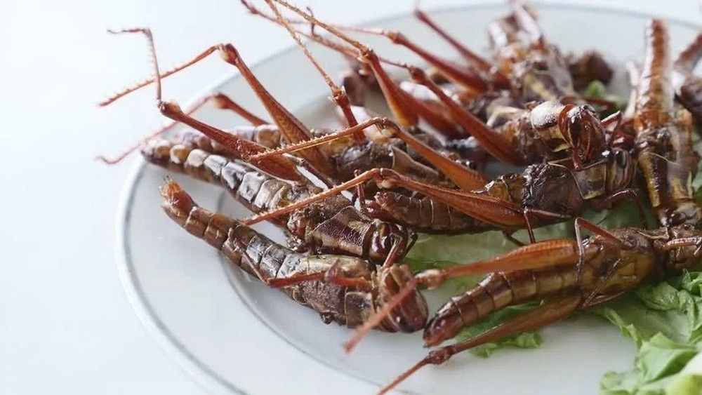 ���� �������� ����, ������� ������ ���� ����� ������ ��������