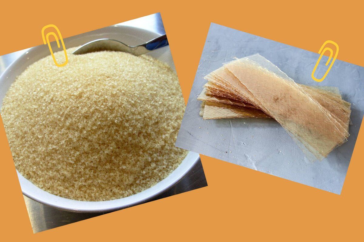 �������: ������ �������� � ������� � ������ �������