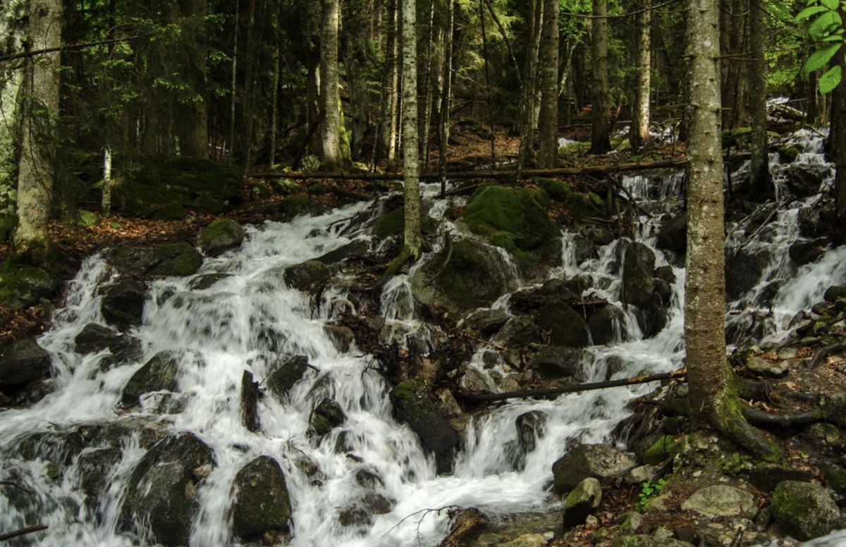 ���������� �������� �����