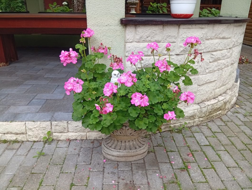 ����� ������ ������: ��� ���������� � �������������� ���������