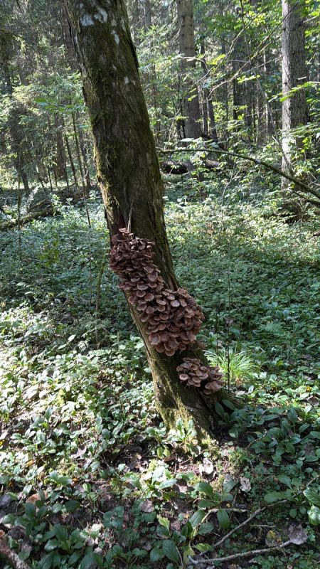 ����������� � ����: ��� ����� ��������� � ������� ������ � ������������ �����������