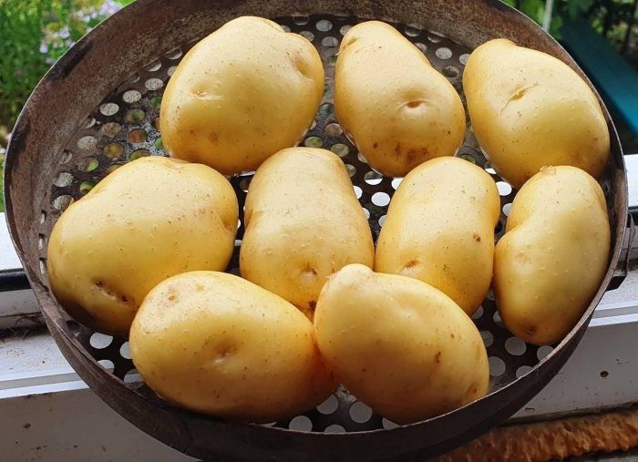 ��������� ����� �����: ���� � ������������ � ����� ������