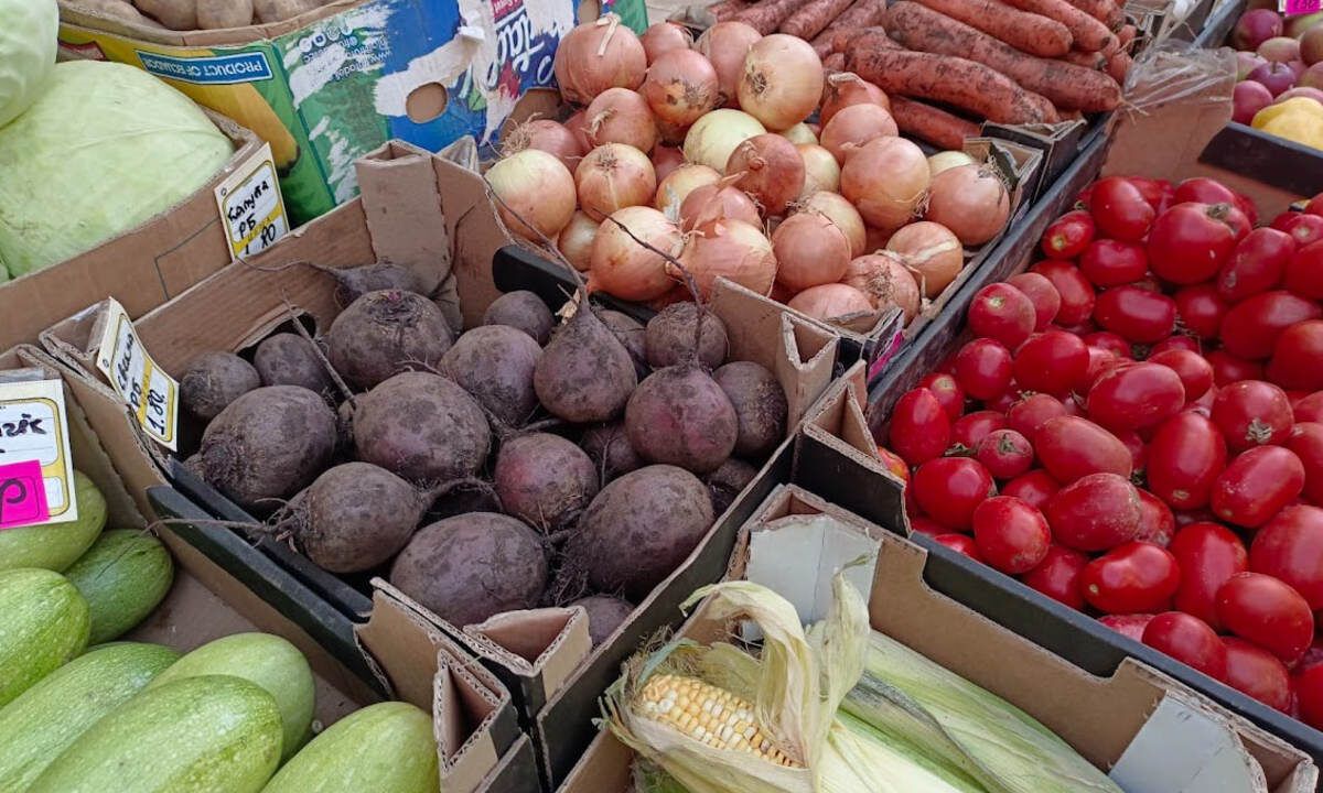 �������������������� ������� ������: ���������� ������ �������� �� 7 �������