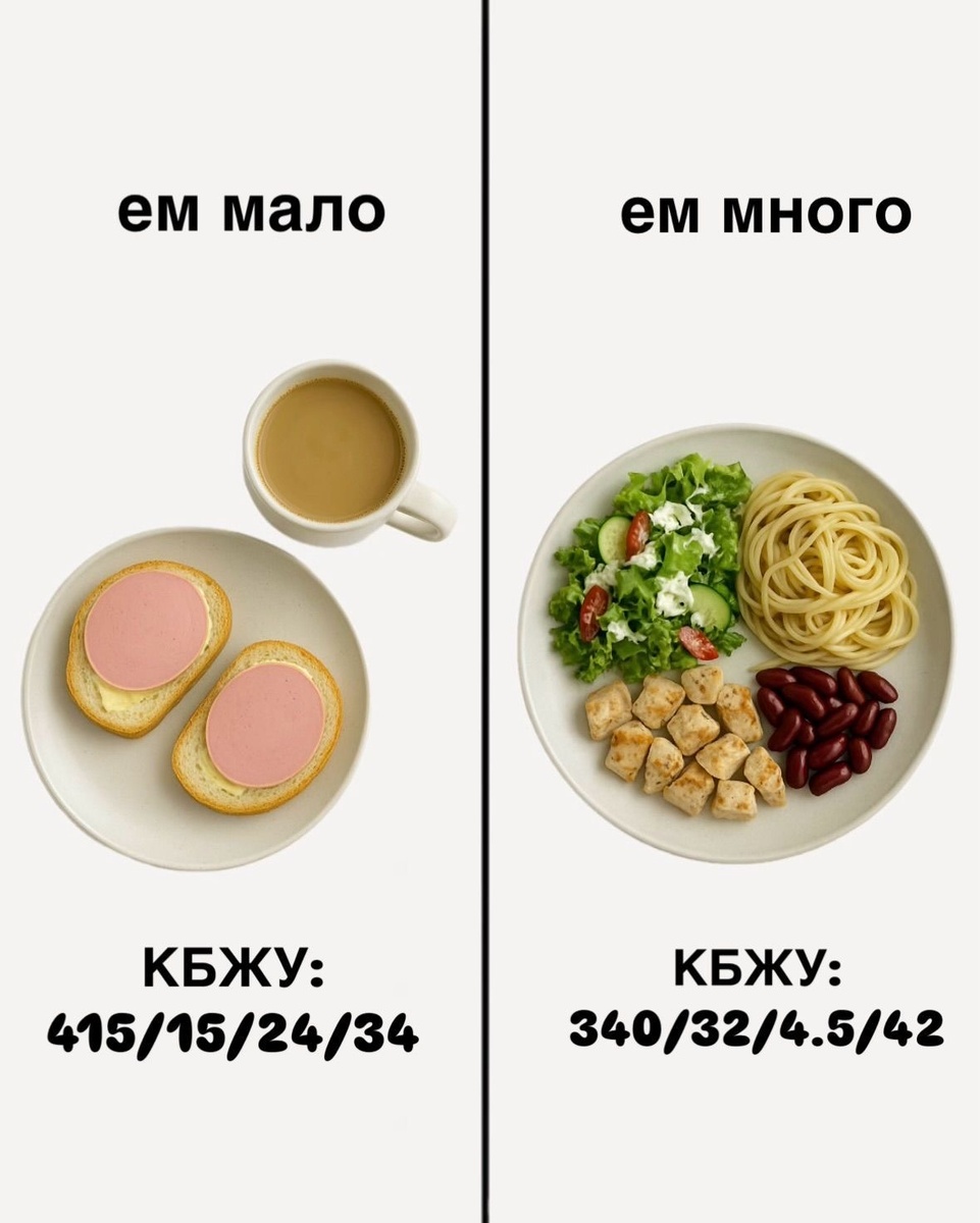 Как структура питания влияет на похудение: мифы и реальность