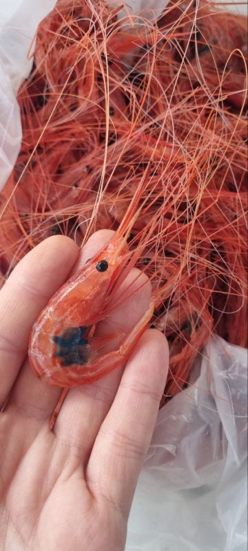 ������� �������� ���� ������ ���������