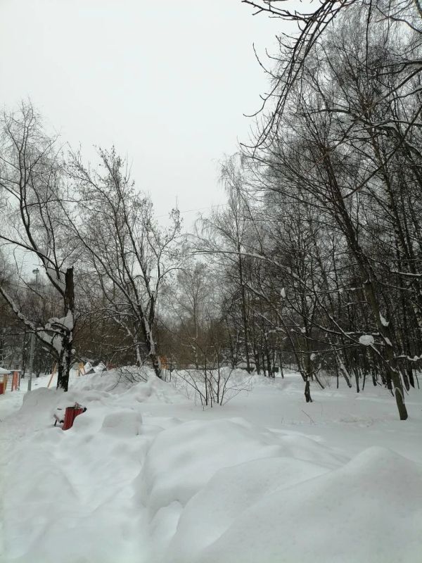 ���� � �����: ��� ������ ������ ������ �� ��������� ���� �����