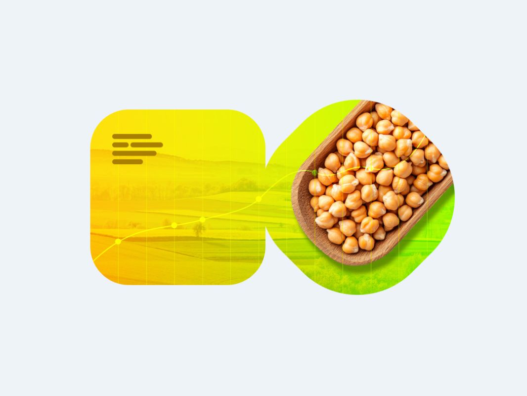 ���: �� �������� � �������������� � ������