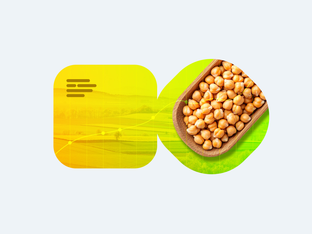 Нут: от экзотики к рентабельности в России