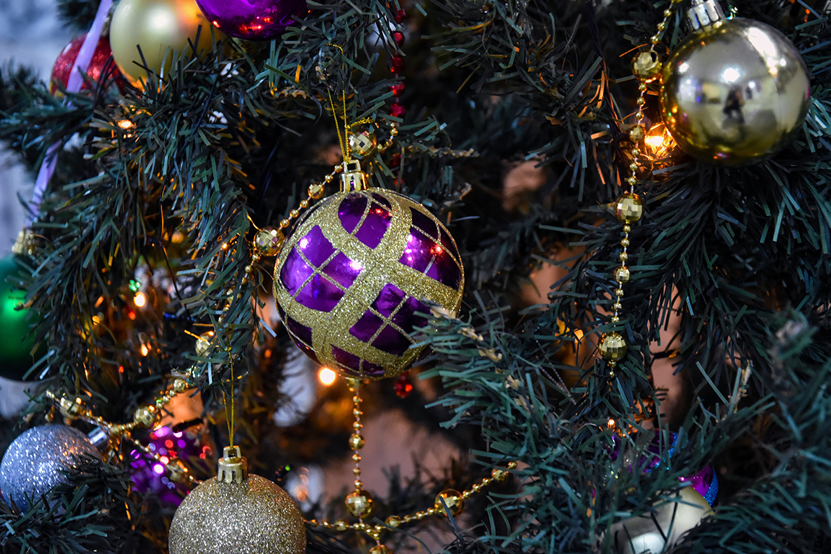 Секреты новогодних угощений от жителей Донского