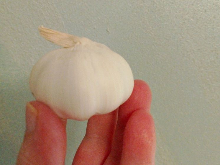 ������ � ������ � ������� �������� ������� �� ������ ����������