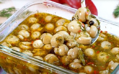 ������������ ������������ ����������: ������� �� 15 �����