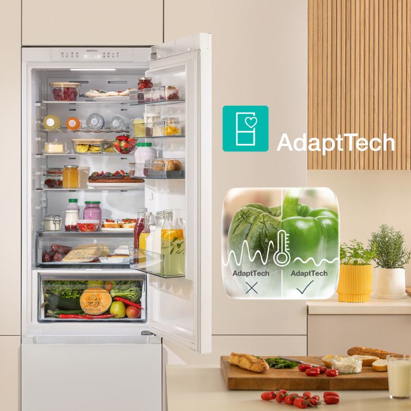 ��� ������������� � ������ ����: ��������� ������� � �������� ��� �������� ���������