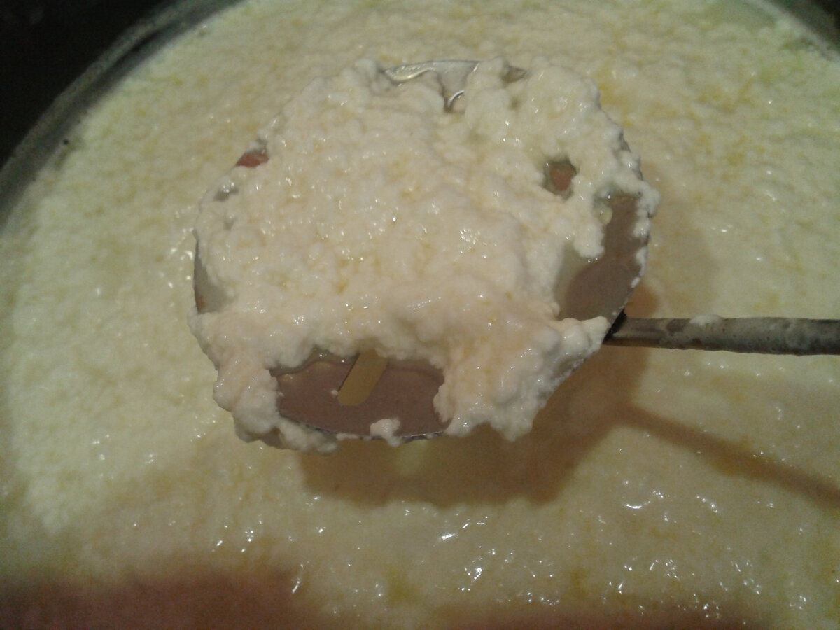 Как сделать домашний сыр: пошаговая инструкция для начинающих