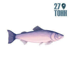 ������ ����� ������ ����: 10 ������� ��� ���� � ��������