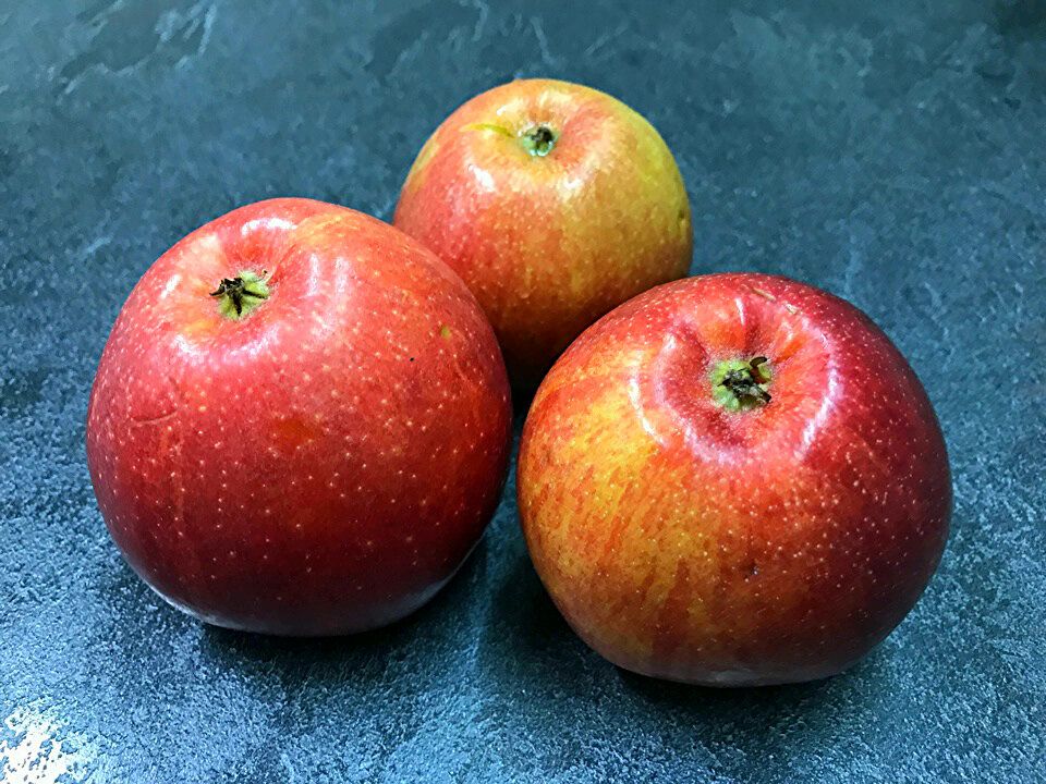 ����������� � �������: ������ ���� � �������� � ������