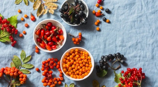 �������� �����: ������� ��� ������ ��� ��������?