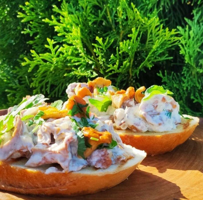 ��������� � ���������: ��������� �������� ��������