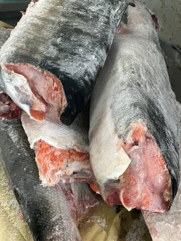 ������ ����� ����� � ������� �� ��������������� ����