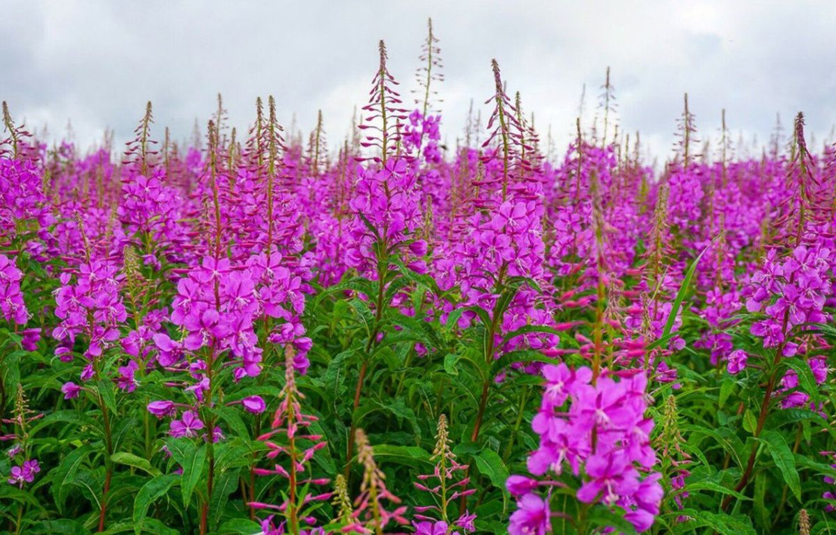 �������: ������� ��� �������� ����� � ������ ��� ��������