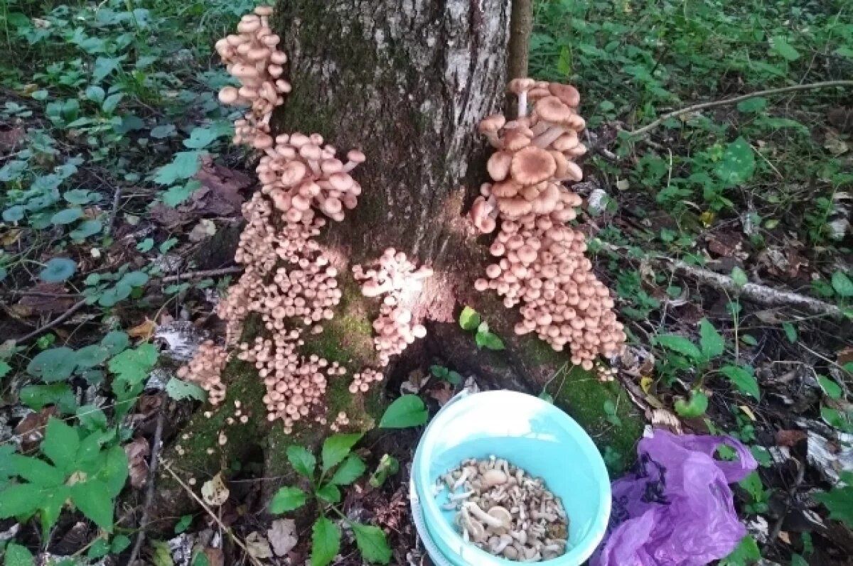 ������� ����� � ��������� ������: ��������� ���� ����